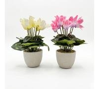 Homescapes Set Of 2 Artificial Cyclamen Plants In White Pots, 24 Cm