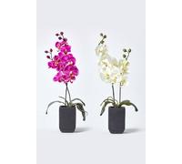Homescapes Set Of 2 Artificial Orchids In Black Ceramic Pots, 55 Cm Multi