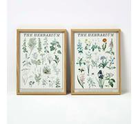 HOMESCAPES Set of 2 Flower Herbarium Wall Art
