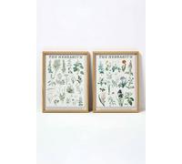Homescapes Set Of 2 Flower Herbarium Wall Art Multi One Size