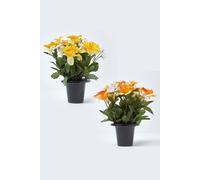 Homescapes Set Of 2 Narcissus Daisy Artificial Flowers In Grave Vases Multi One Size