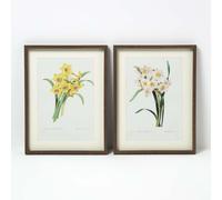 Homescapes Set of 2 Narcissus Flower Wall Art