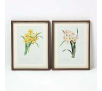 Homescapes Set Of 2 Narcissus Flower Wall Art