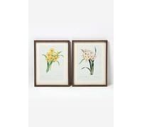 Homescapes Set Of 2 Narcissus Flower Wall Art In Yellow Yellow One Size