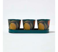 HOMESCAPES Set of 3 Herb Pots with Tray, Citrus Print