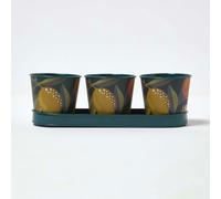 Set of 3 Herb Pots with Tray, Citrus Print