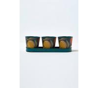 Homescapes Set Of 3 Herb Pots With Tray, Citrus Print Multi