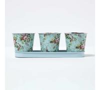 HOMESCAPES Set of 3 Herb Pots with Tray, Rose Print