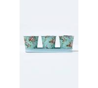 Homescapes Set Of 3 Herb Pots With Tray, Rose Print