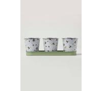 Homescapes Set of 3 Indoor Plant Pots with Floral Bee Design in Green Homescapes Green