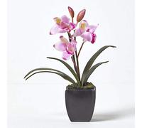 HOMESCAPES Small Light Pink Artificial Orchid With Lifelike Silk Flowers and Realistic Long Green Leaves Oriental Cymbidium Flower in Square Black Planter Pot 38cm tall for Indoor Decoration