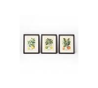 HOMESCAPES Botanical Framed Wall Prints, Set of 3, Citrus Theme - Lime, Lemon and Orange, 20 x 25 cm, Multicoloured, Poster for Living Room Bedroom Kitchen Walls