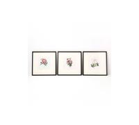 Homescapes Wall Decoration Set Of 3 Frames With Picture, Peonies Multi
