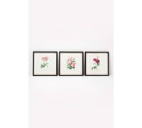 Homescapes Wall Decoration Set Of 3 Frames With Picture, Roses Multi
