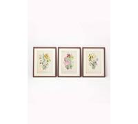 Homescapes Wall Decoration Set Of 3 Frames With Picture, Wildflowers Multi One Size