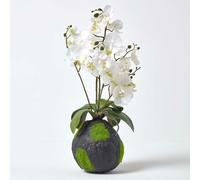 HOMESCAPES White Artificial Orchid with Lifelike Silk Flowers and Realistic Green Leaves Oriental Phalaenopsis Orchid Flower with Faux Moss Base 60cm tall for Indoor Decoration