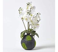 HOMESCAPES White Artificial Orchid with Lifelike Silk Flowers and Realistic Green Leaves Oriental Phalaenopsis Orchid Flower with Faux Moss Base 60cm tall for Indoor Decoration