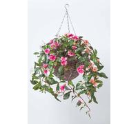 HOMESCAPES White, Orange and Pink Artificial Hanging Basket Large Lifelike Hanging Plant For Indoor and Outdoor Decoration Trailing Flowers In Brown Wicker Pot with Metal Chain and Hook 85 cm Long