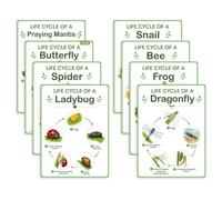 Homeschool Classroom Science Posters Showing Life Cycle | Eight Chart Learning Set with Full Page Illustrations for Preschool Exploration