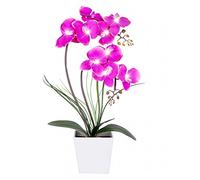 HOMESEASONS LED Lighted Artificial Flower Arrangement-Battery Operated Orchid Pot With 9 Lights