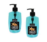 HOMESHOPA Belux Liquid Hand Wash, 2 Pack 500ml Ocean Breeze, Anti-Bacterial Hand Soap, Gentle Daily Cleanser, Refreshing Fragrance, Moisturizing & Kind to Hands