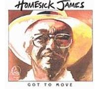 Homesick James - Got to Move
