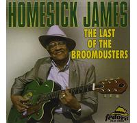 Homesick James - The Last Of The Broomdusters