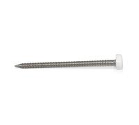 HomeSmart UPVC Panel Pins 40mm Poly Top Pins Nails Plastic Headed Fascia Fixings Strop Grip Durable Stainless Steel Roofing Nails Secure Hold PVC Cladding Pins for Home Projects (50, 40mm)