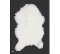 Homespace Direct Ltd Homespace Direct Luxury Faux Rabbit Fur Rug With Suede Backing Area Rug Plush Soft Accent Rug White 60X90Cm