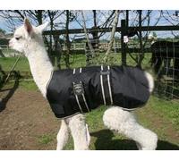 Homestead Farm Supplies Alpaca Coat 22" - Black