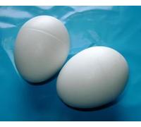 Homestead Farm Supplies Pair of Dummy Chicken White Plastic Chicken Egg - Encourage hens to lay