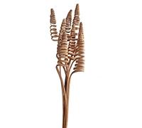 Homestreet Cane Cone Exotic Wooden Flower Bunch In Natural Brown 7 Stems 60cm