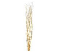 Homestreet Contorted Twisted Willow Twigs Bunch For Floor Standing Vases And Displays 120cm tall in Brown, Black, Silver, Gold or Natural (Gold)