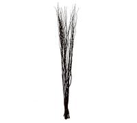 Homestreet Contorted Twisted Willow Twigs Bunch For Floor Standing Vases And Displays 120cm tall in Brown, Black, Silver, Gold or Natural (Black)
