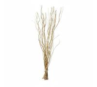 Homestreet Decorative Willow Twig Branch Bunches, 80-85cm, Home Decor Vase Filler, Available in Black, Cream, Brown, Silver, Gold (Gold)