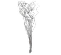 Homestreet Tall Spiral Curly Willow Twigs, Colourful Metallic Natural Dried Dyed Exotic, Ting Home Decor Floral Arrangement Display, 40 Piece Bunch, 120cm Long for Floor Vase (Silver)