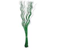 Homestreet Tall Spiral Curly Willow Twigs, Colourful Metallic Natural Dried Dyed Exotic, Ting Home Decor Floral Arrangement Display, 40 Piece Bunch, 120cm Long for Floor Vase (Green)