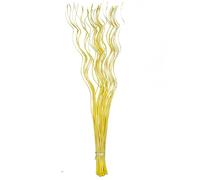 Homestreet Tall Spiral Curly Willow Twigs, Colourful Metallic Natural Dried Dyed Exotic, Ting Home Decor Floral Arrangement Display, 40 Piece Bunch, 120cm Long for Floor Vase (Yellow)