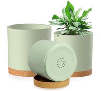 Homeuouz 3 Pack Plastic Plant Pots,15/12.5/10CM,Flower Pot Large Plant Pots Indoor Outdoor Plastic Plant Pot with Drainage Holes and Tray for House Plant Flower(Green with Brown Tray)