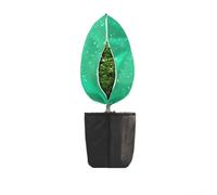 HomeVortex Plant Protection Cover Set with Zipper and Drawstring, Breathable Non-Woven Frost Blanket for Winter, Windproof Shield Against and Animals for Garden Trees Pots,(Green)