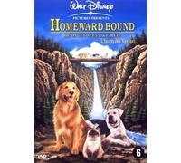 HOMEWARD BOUND - VARIOUS