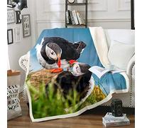 Homewish Atlantic Puffin Sherpa Blanket Common Puffin Fleece Blanket Iceland Seabird Blanket Throw For Kids Boys Girls Twin Puffins Fuzzy Blanket Throw 50"x60" Red Black Green