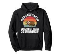 Homework Dangers My Health Sloth Student Pullover Hoodie