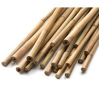 HomeZone 100pc Heavy Duty 90cm Climbing Plant Support Bamboo Sticks For Plants 3ft Bamboo Canes Natural Wooden Canes For Tomato Plants Plant Support Sticks Ideal For Tomato Cucumber Sunflower