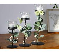 HomeZone 3 Xmas Eucalyptus Tea Light Candle Holders Elegant Clear Glass, 3 sizes for Candles, Votive Tealight Holders for Decoration, Christmas, Celebrations Engagement, Wedding, Anniversary