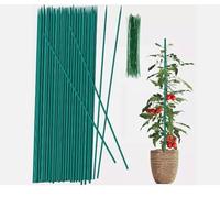 HomeZone 50Pcs Green Plant Support Sticks 30cm / 12 inch Bamboo Plant Stakes Split Canes, Floral Sticks Garden Flower Sticks for Orchid Pea Vegetables Support Floral Plant Stakes