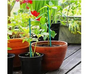 HomeZone Garden Mile Plant Support Sticks - 25 pack 60cm Bamboo Weather Resistant Canes For Flowers, Plants, Garden Sticks for Pea Vegetables Supports Wooden Canes for Home or Garden