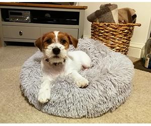 HomeZone Grey Round Plush Pet Bed 50cm - Fluffy Washable Nest for Small Dogs & Cats - Soft Calming Cushion for Puppies & Kittens - Lightweight Warm Indoor Cat & Dog Bed