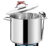 HOMICHEF 15L Nickel Free Stainless Steel Stock Pot with Lid - Mirror Polish Healthy Cooking Pot (29cm) - Non Toxic Heavy Duty Induction Stockpot