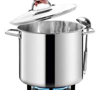 HOMICHEF 19L Nickel Free Stainless Steel Stockpot with Lid - Healthy & Safe Induction Cooking Pot - Mirror Polished Heavy Duty Soup Pot - 31cm Wide Large Stockpot